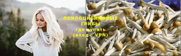 стаф Алексеевка