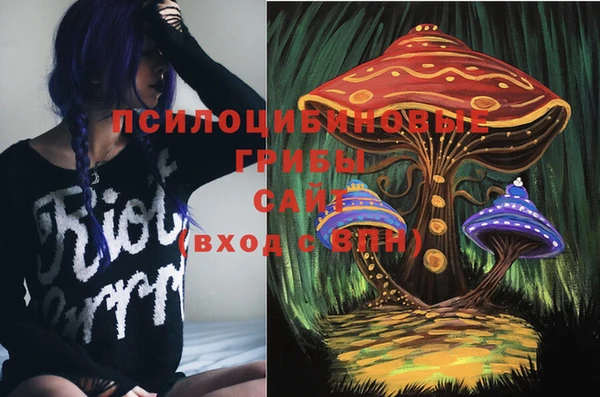 стаф Алексеевка