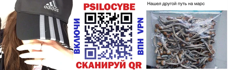 Галлюциногенные грибы Cubensis  Ивдель 